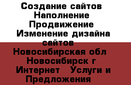 Создание сайтов. Наполнение. Продвижение. Изменение дизайна сайтов. - Новосибирская обл., Новосибирск г. Интернет » Услуги и Предложения   